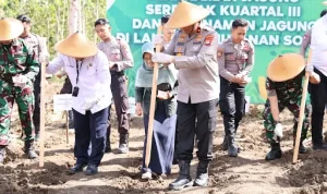 Foto: Polda DIY melaksanakan kegiatan penanaman jagung secara serentak kuartal III di Lahan Hutan Ketangi, Banyusoca, Playen, Gunungkidul.