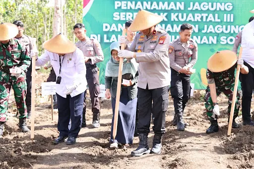 Foto: Polda DIY melaksanakan kegiatan penanaman jagung secara serentak kuartal III di Lahan Hutan Ketangi, Banyusoca, Playen, Gunungkidul.